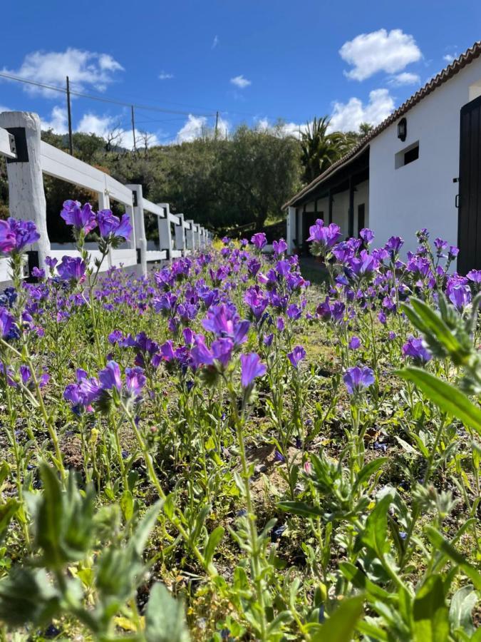 Villa Montana Colorada El Paso Eksteriør bilde